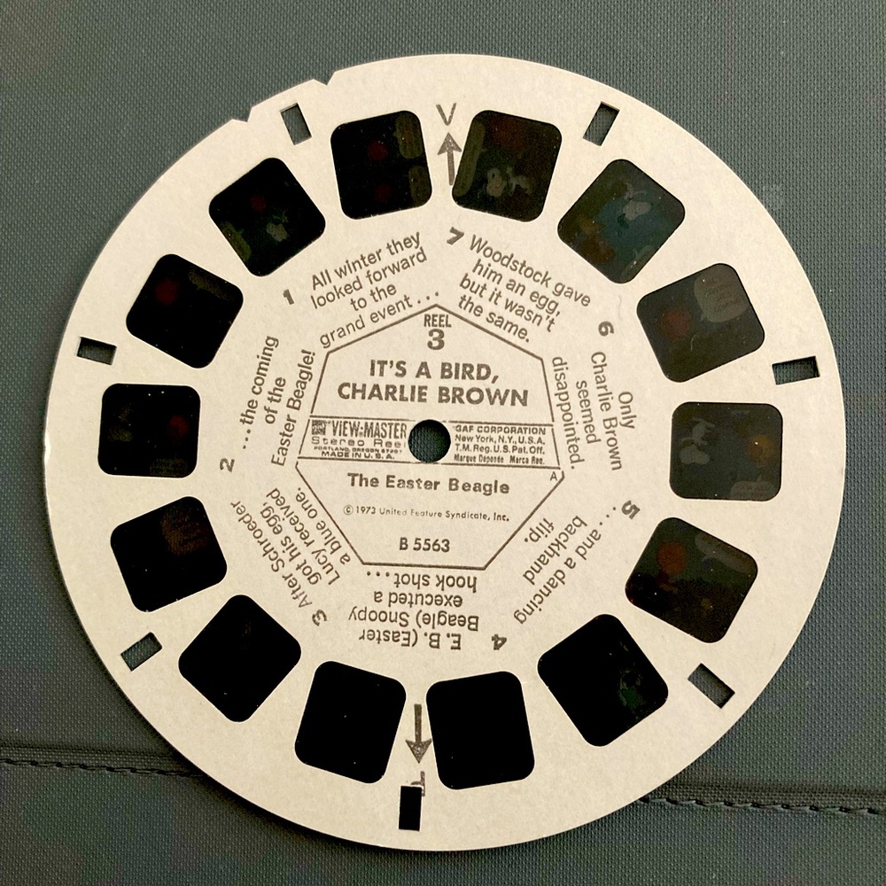 Disney View Master It’s a bird CHARLIE BROWN reel three